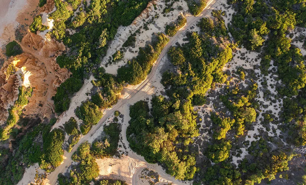 Vista aérea da paisagem natural da Comporta, com dunas e vegetação típica